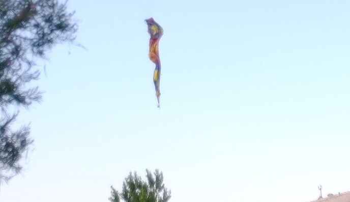 У США впала повітряна куля, пошкодивши лінію електропередач - багато загиблих: відео