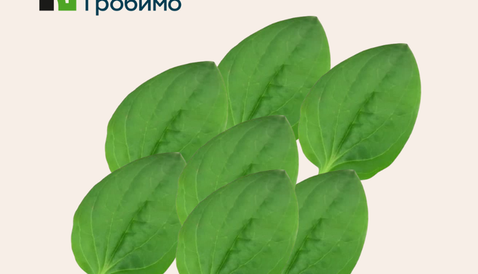 Збій в системі ПриватБанку: опубліковано нову важливу заяву