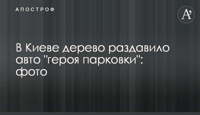 У Києві дерево розчавило авто 