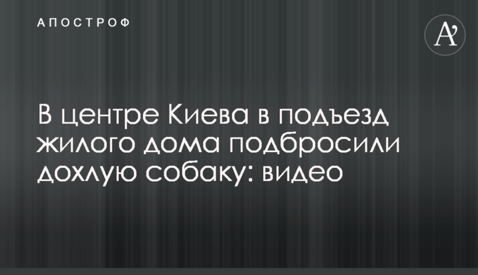 В центре Киева в подъезд жилого дома подбросили дохлую собаку: видео