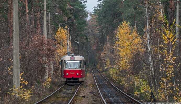 Избили за несколько гривен: в Харькове двое мужчин набросились на кондуктора