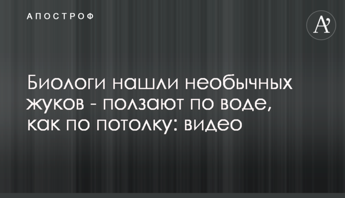 Биологи нашли необычных жуков - ползают по воде, как по потолку: видео