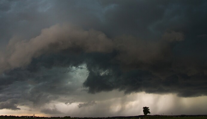 Побиті авто і повалені дерева: погода в Україні завдає величезної шкоди
