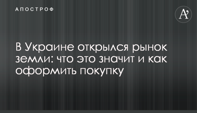 В Україні відкрився ринок землі: що це означає і як оформити покупку