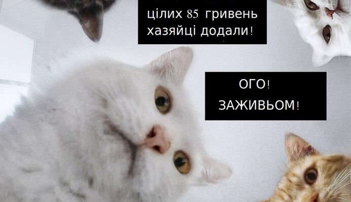 Переписала все на кота: яркие фотожабы на повышение пенсий и открытие рынка земли в Украине