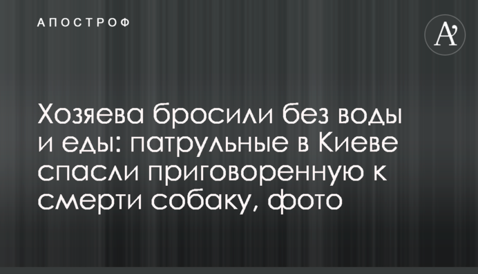 Хозяева бросили без воды и еды: патрульные в Киеве спасли приговоренную к смерти собаку, фото