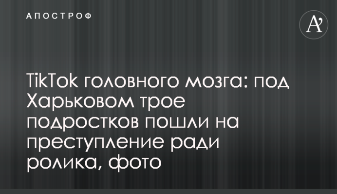 TikTok головного мозга: под Харьковом трое подростков пошли на преступление ради ролика, фото