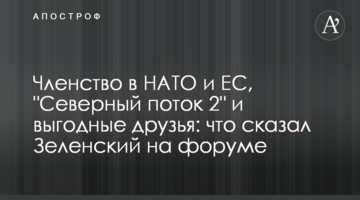NATO and EU membership, Nord Stream 2, economic and security priorities, bilateral relations: what Zelensky said at the Ukraine 30 forum