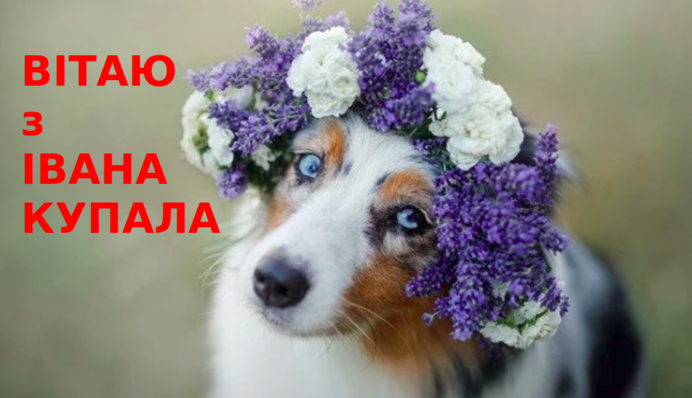 Прикольні привітання з Івана Купала