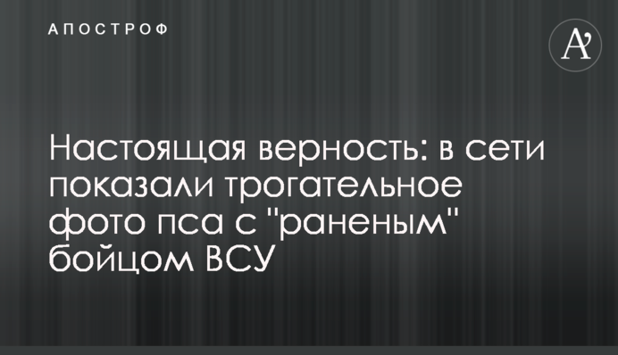 Справжня вірність: в мережі показали зворушливе фото пса з 