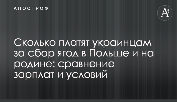 Сколько платят украинцам за сбор ягод в Польше и на родине: сравнение зарплат и условий