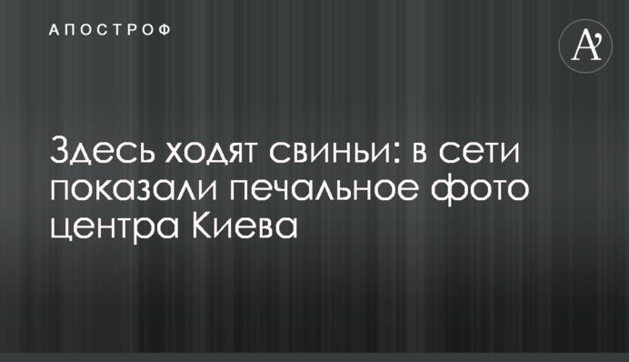 Тут ходять свині: в мережі показали сумне фото центру Києва