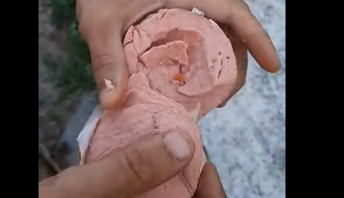 У Херсоні чоловік купив ковбасу з живою 