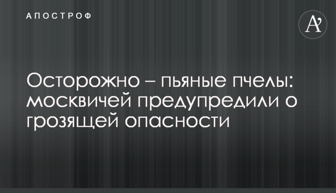 Обережно - п'яні бджоли: москвичів попередили про небезпеку
