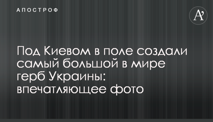 Під Києвом у полі створили найбільший в світі герб України: вражаюче фото
