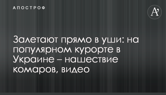Залетают прямо в уши: на популярном курорте в Украине – нашествие комаров, видео