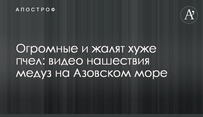 ​Огромные и жалят хуже пчел: видео нашествия медуз на Азовском море