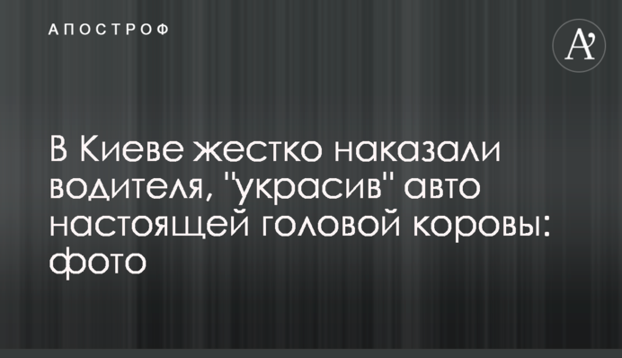 У Києві жорстко покарали водія, 
