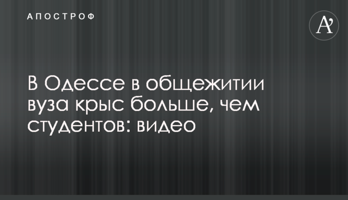 В Одессе в общежитии вуза крыс больше, чем студентов: видео