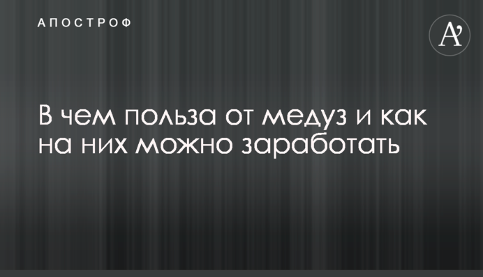 В чем польза от медуз и как на них можно заработать