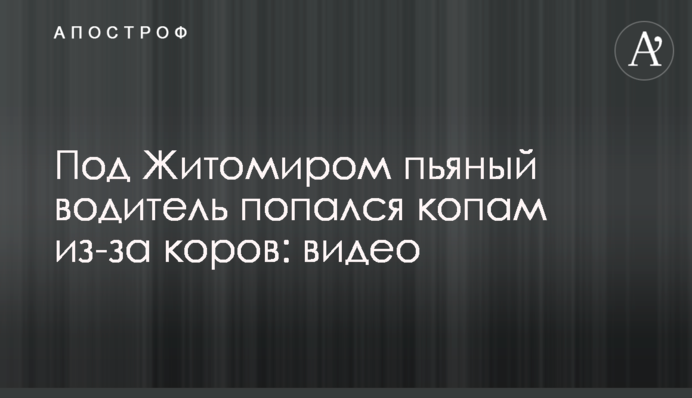 Під Житомиром п'яний водій попався копам через корів: відео