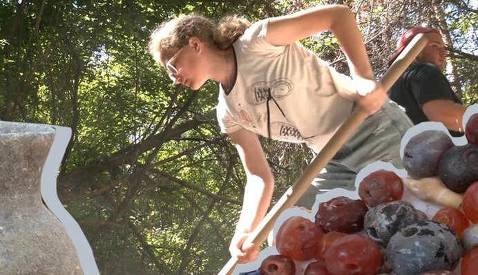 Під Харковом археологи знайшли поховання IX століття: відео