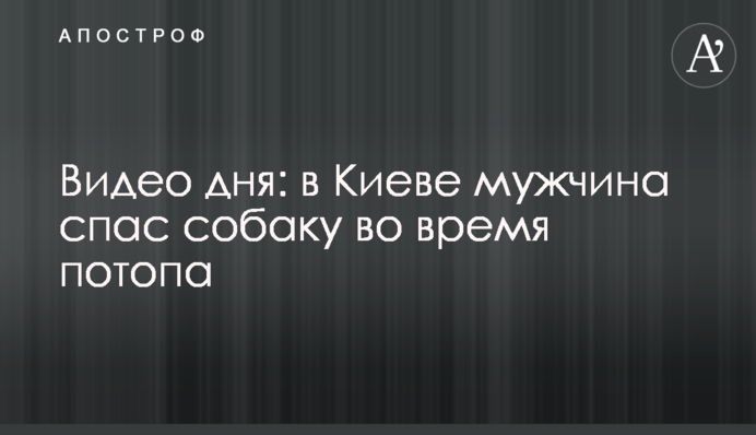 Видео дня: в Киеве мужчина спас собаку во время потопа