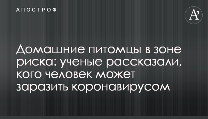 Домашні улюбленці в зоні ризику: вчені розповіли, кого людина може заразити коронавірусом