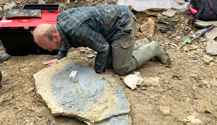 Пытались защититься: в Британии археологи обнаружили уникальное кладбище морских животных