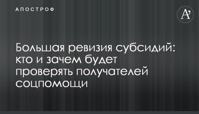 Большая ревизия субсидий: кто и зачем будет проверять получателей соцпомощи