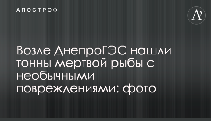 Біля ДніпроГЕС знайшли тонни мертвої риби з незвичайними ушкодженнями: фото