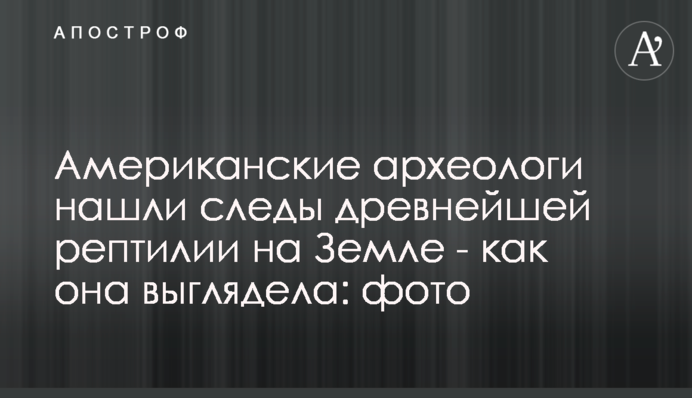 ​Американские археологи нашли следы древнейшей рептилии на Земле - как она выглядела: фото