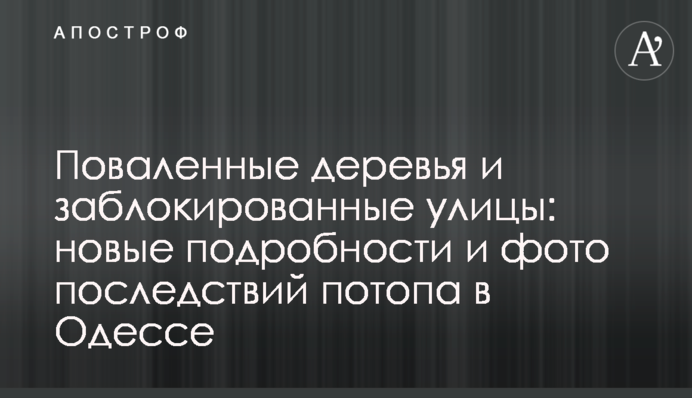 ​Поваленные деревья и заблокированные улицы: новые подробности и фото последствий потопа в Одессе