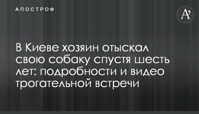 У Києві господар знайшов свою собаку через шість років: подробиці і відео зворушливої ​​зустрічі
