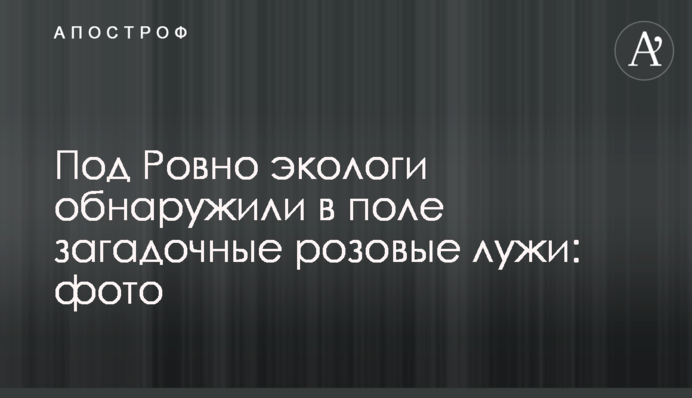 Під Рівним екологи виявили загадкові рожеві калюжі: фото і відео