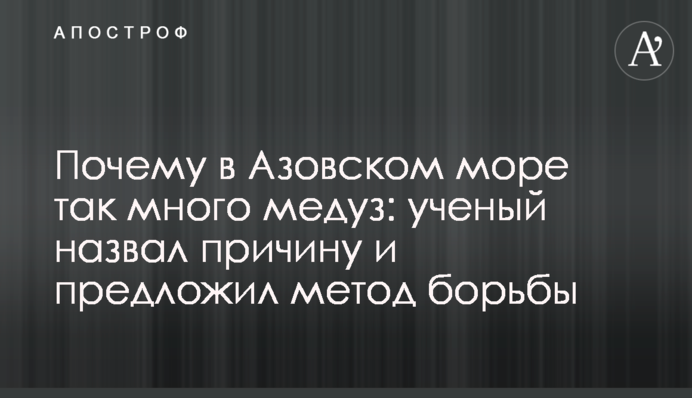 Почему в Азовском море так много медуз: ученый назвал причину и предложил метод борьбы