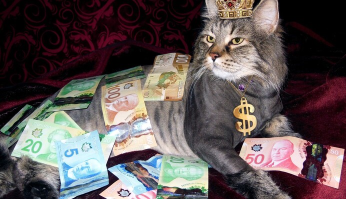 Гроші сипляться на них немов з неба - топ-3 самих щасливих знака Зодіаку