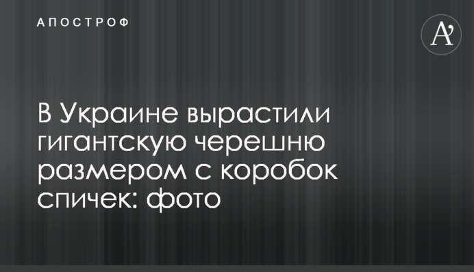 В Україні виростили гігантську черешню розміром з коробку сірників: фото