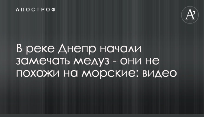 У річці Дніпро почали помічати медуз - вони не схожі на морські: відео