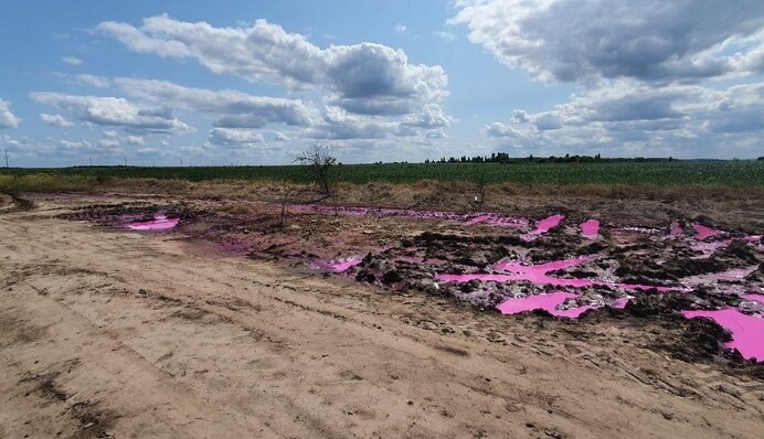 Рожеві калюжі хімікатів під Рівним зацікавили поліцію: фото