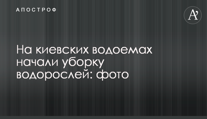 На київських водоймах розпочали збирання водоростей: фото