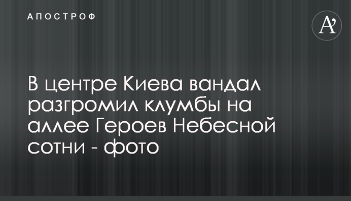 В центре Киева вандал разгромил клумбы на аллее Героев Небесной сотни - фото