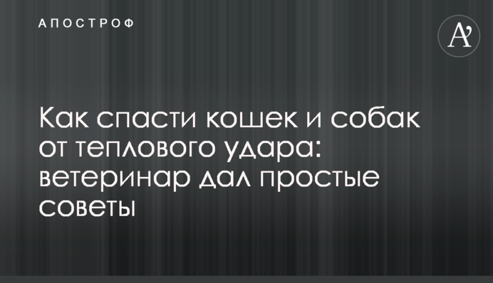 Як врятувати кішок і собак від теплового удару: ветеринар дав прості поради