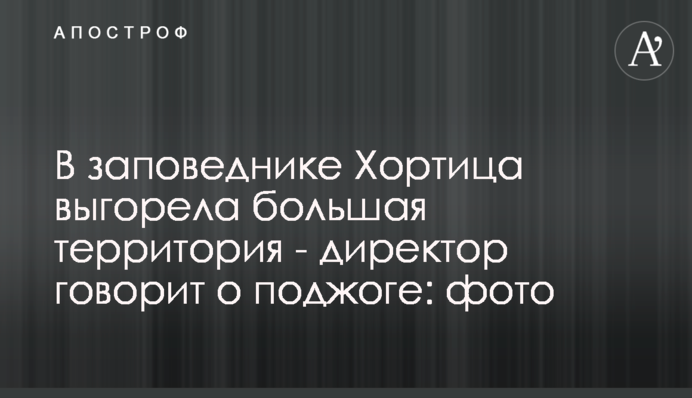 В заповеднике Хортица выгорела большая территория - директор говорит о поджоге: фото