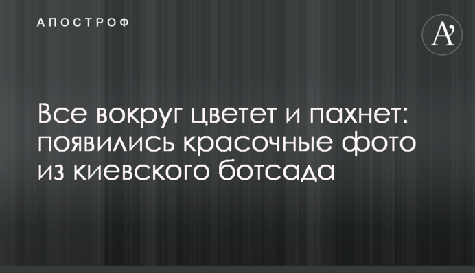 Все навколо квітне і пахне: з'явилися барвисті фото з київського ботсаду