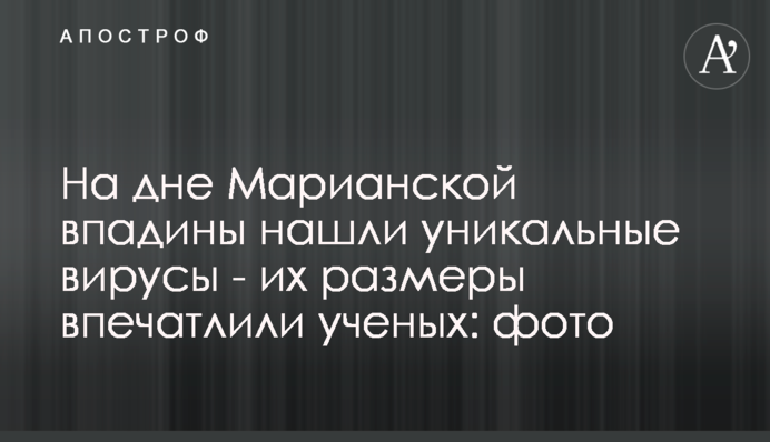 ​На дне Марианской впадины нашли уникальные вирусы - их размеры впечатлили ученых: фото