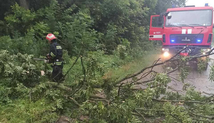 Повалені дерева і потоп на дорогах: дводенні зливи перетворили Чернівці на справжнє пекло