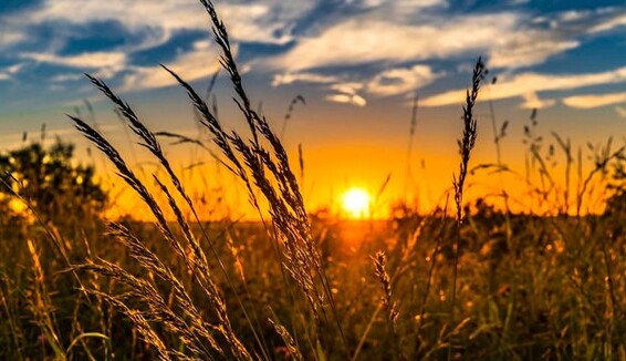 Украинцев предупредили об ухудшении погоды: где ожидать шквалы и град