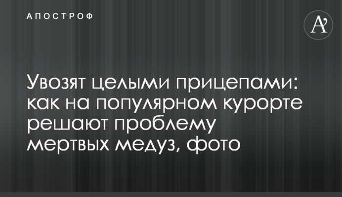 ​Увозят целыми прицепами: как на популярном курорте решают проблему мертвых медуз, фото