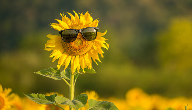 Серпень буде незвичайним: синоптики розповіли, якою буде погода в останній місяць літа